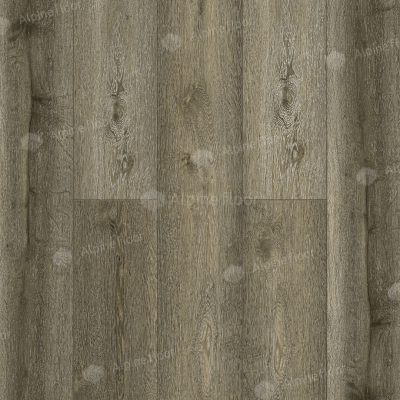 FORESTA 1004-13