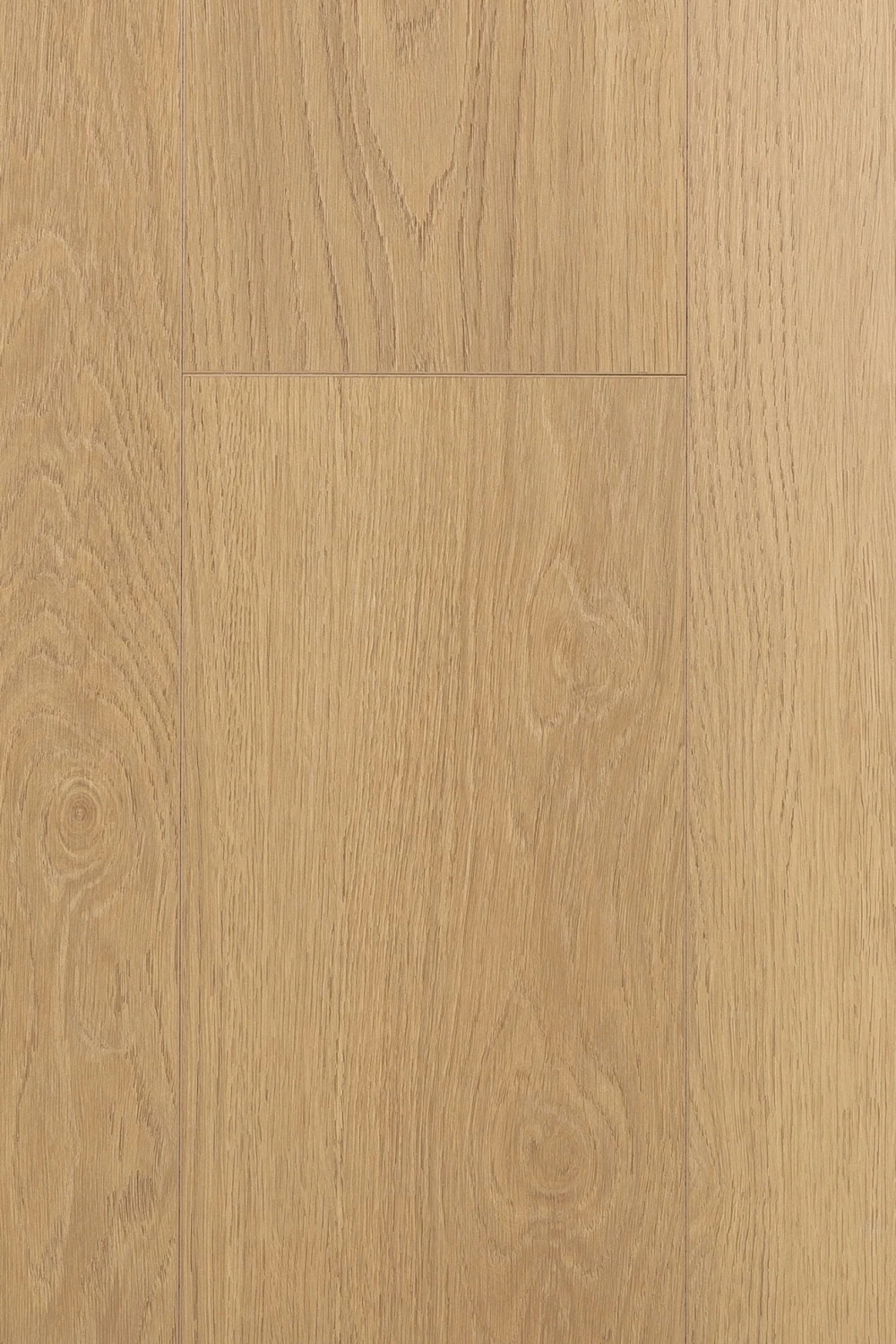 Дуб Умбра | Umbra oak 1F423