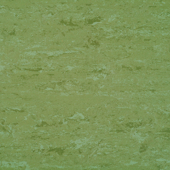 0011 Avocado Green