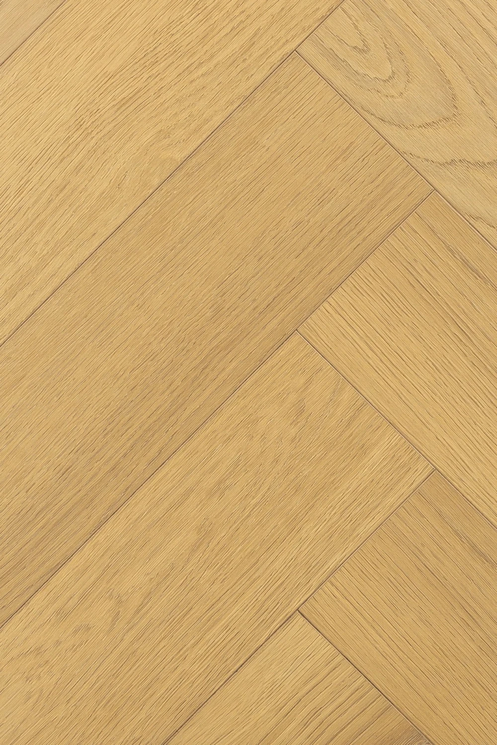 Дуб Терра | Terra oak 1F439
