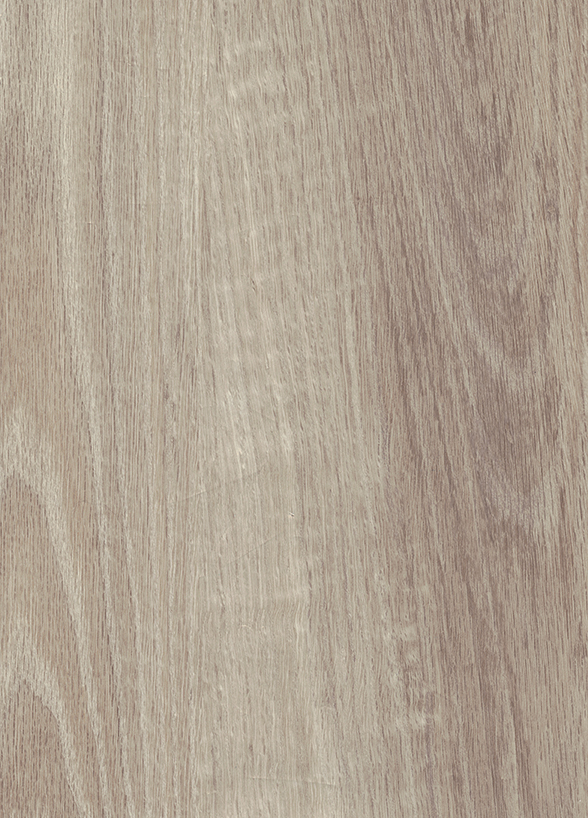 3101 CASHMERE OAK