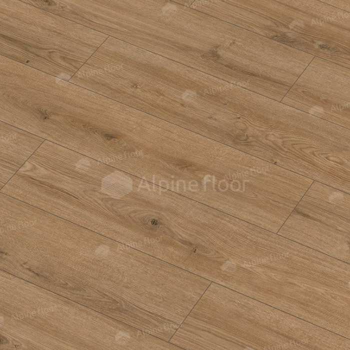 Дуб Катам 62754