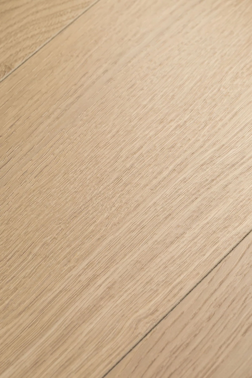 Дуб Грейс | Grace oak 1F414