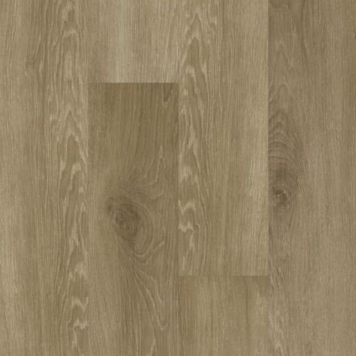2185-12 Дуб Волшебный лес
