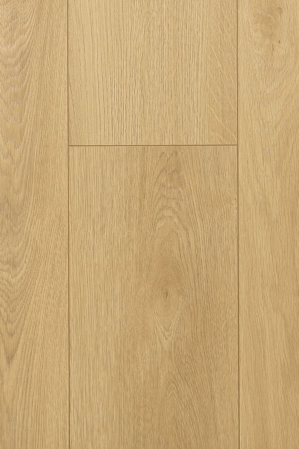 Дуб Валентия | Valentia oak 1F301