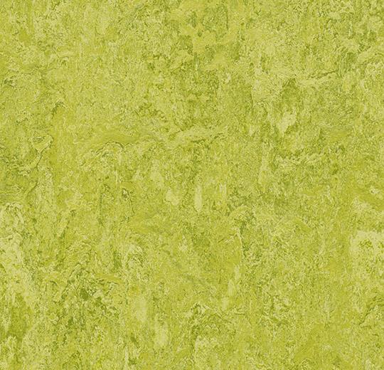 322435 chartreuse