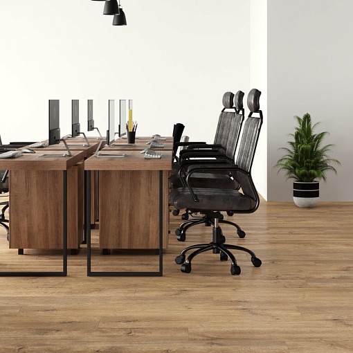 834 Bergen Oak