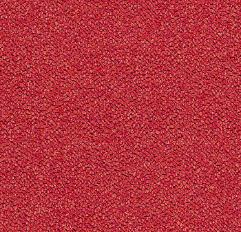 3626 cardinal