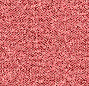 3624 blossom
